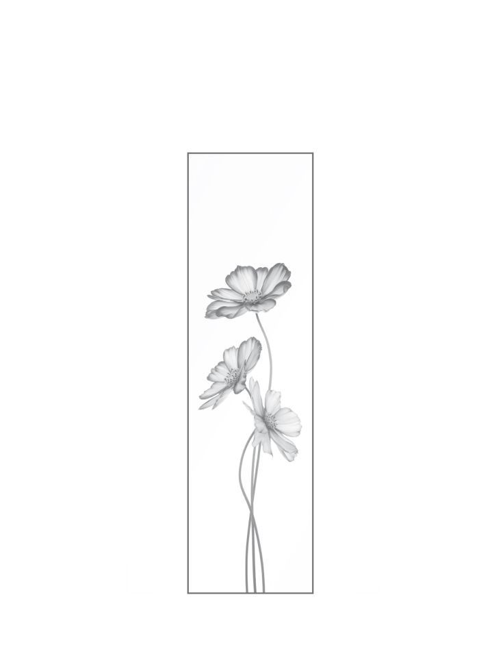Ambiente Glaszaun Dekor 93 51,5 x 180 cm gehärtetes 8 mm Glas