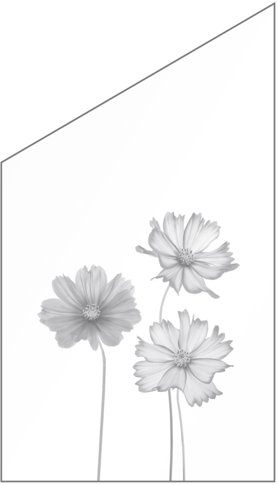Ambiente Glaszaun Dekor 93 schräg 103 x 120/180 cm gehärtetes 8 mm Glas