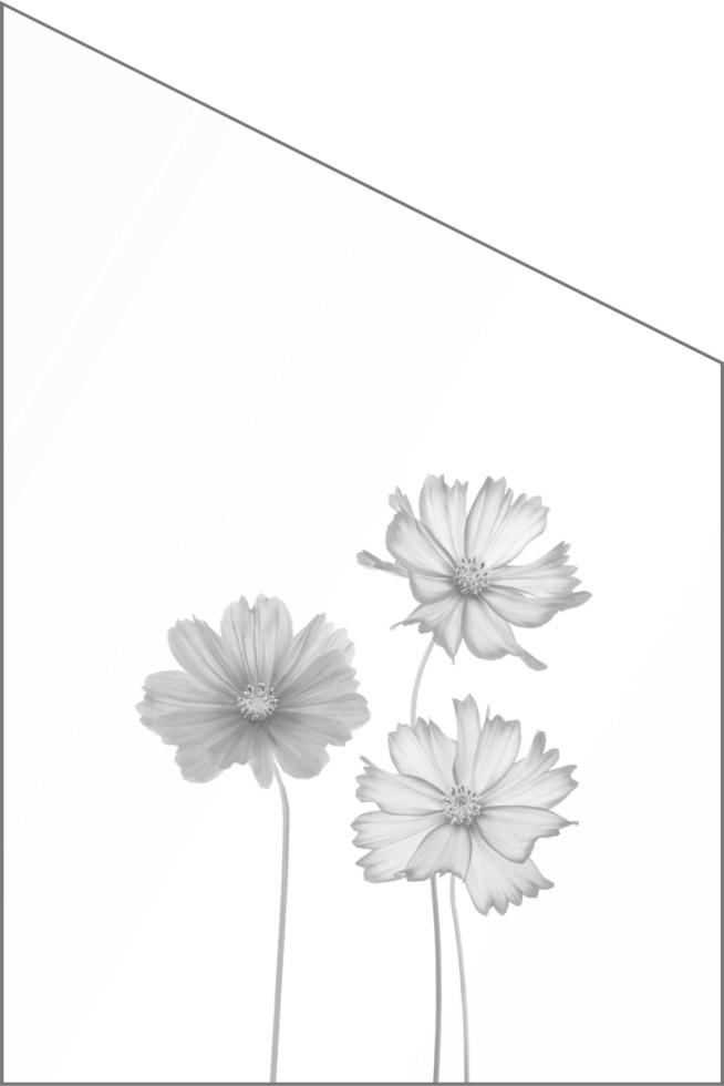 Ambiente Glaszaun Dekor 93 schräg 120 x 180/120 cm gehärtetes 8 mm Glas