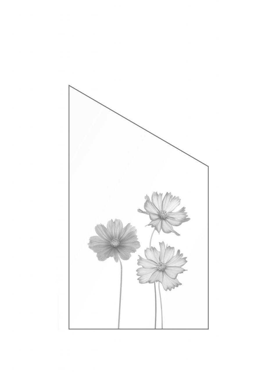 Ambiente Glaszaun Dekor 93 schräg 103 x 180/120 cm gehärtetes 8 mm Glas Bild 2