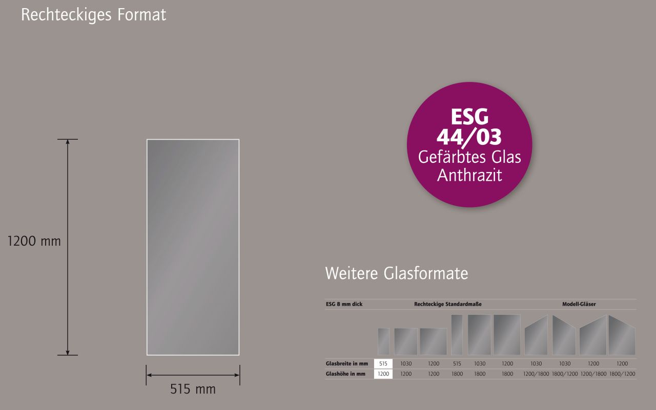 Ambiente Glaszaun Dekor 44/03 51,5 x 120 cm gehärtetes 8 mm Glas