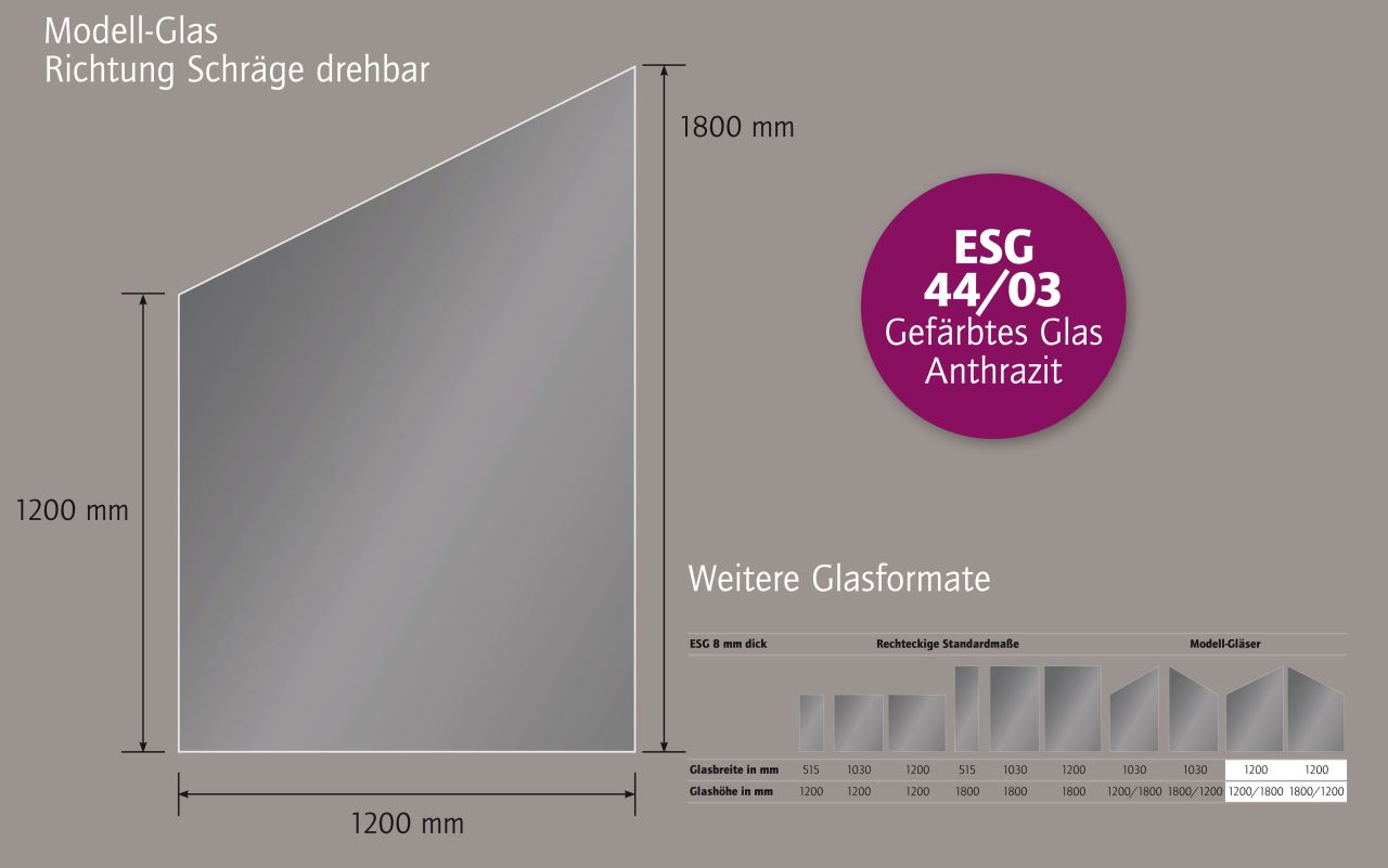 Ambiente Glaszaun Dekor 44/03 schräg 120 x 120/180 cm gehärtetes 8 mm Glas Bild 3