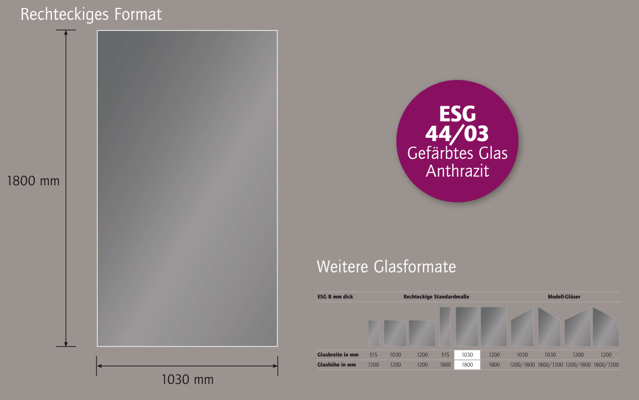 Ambiente Glaszaun Dekor 44/03 103 x 180 cm gehärtetes 8 mm Glas