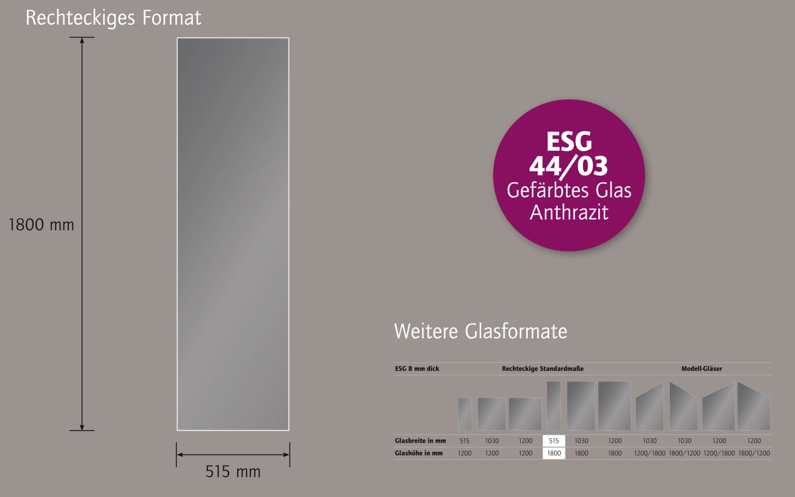 Ambiente Glaszaun Dekor 44/03 51,5 x 180 cm gehärtetes 8 mm Glas Bild 2