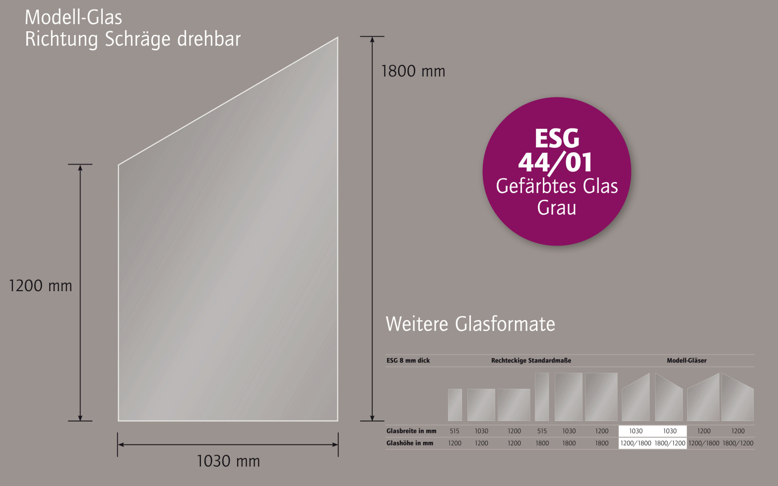 Ambiente Glaszaun schräg B: 103 x H: L 120/R 180 cm, gehärtetes 8 mm Glas Bild 2