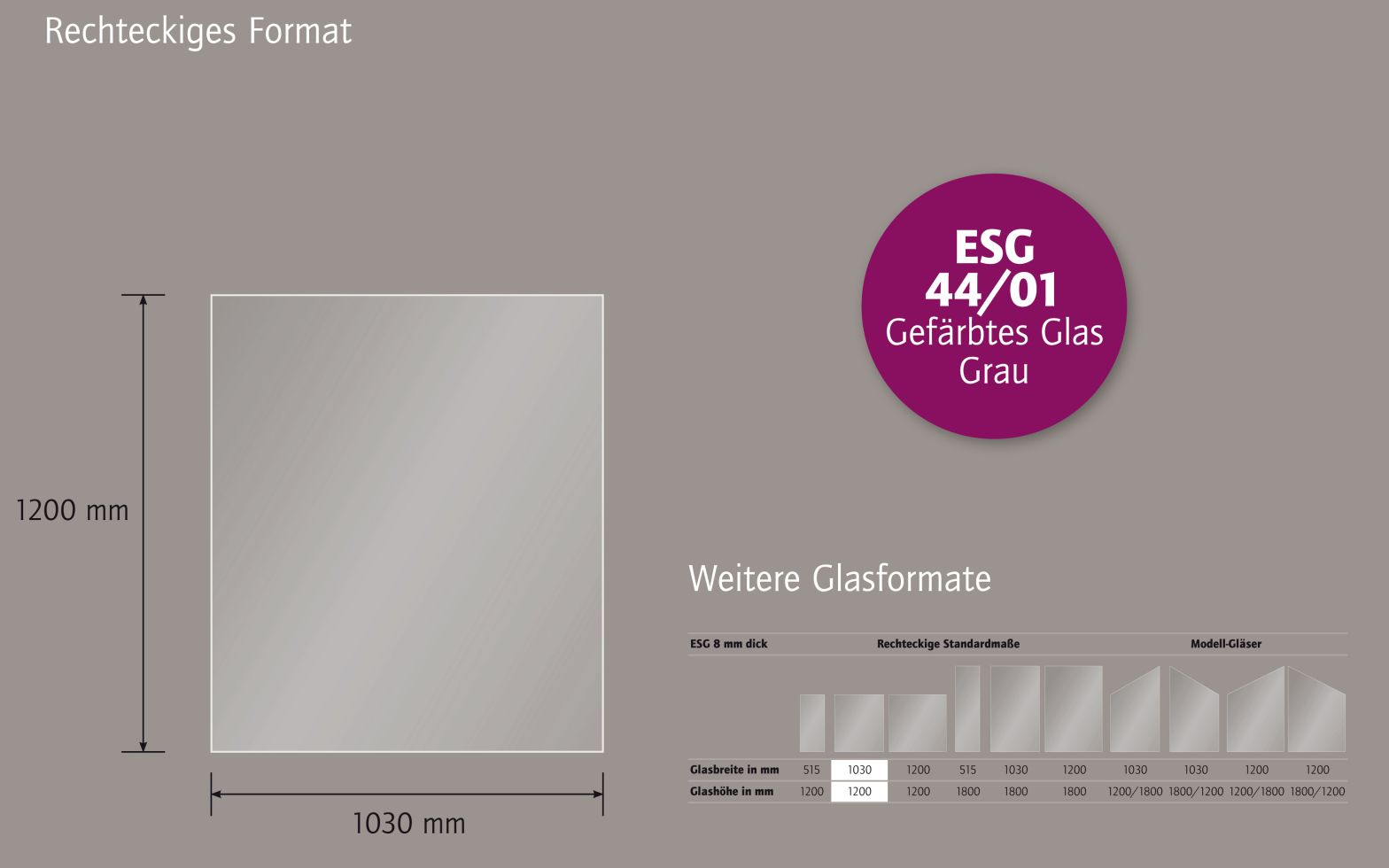 Ambiente Glaszaun B x H: 103 cm x 120 cm, gehärtetes 8 mm Glas