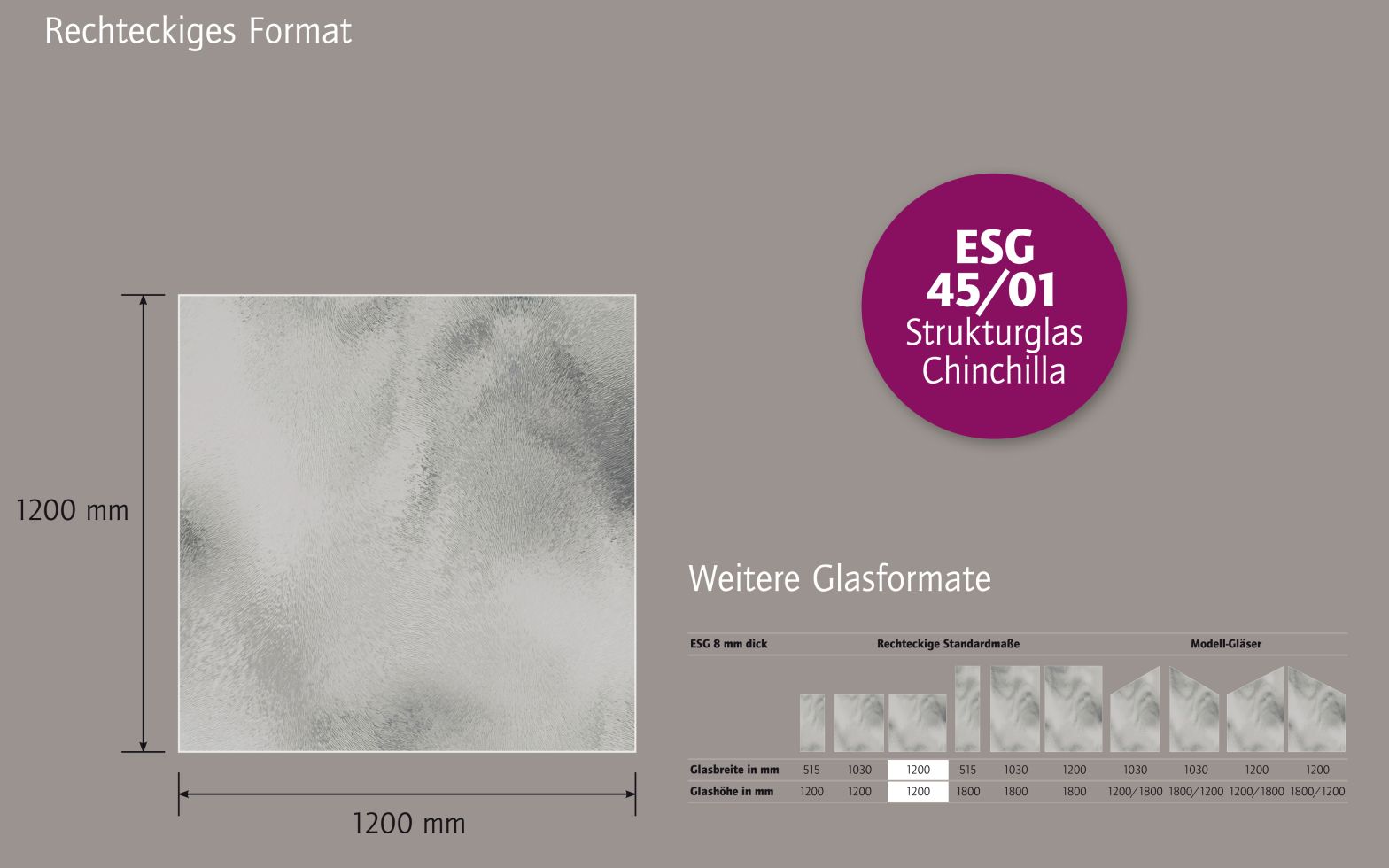 Ambiente Glaszaun B x H: 120 cm x 120 cm, gehärtetes 8 mm Glas Bild 4