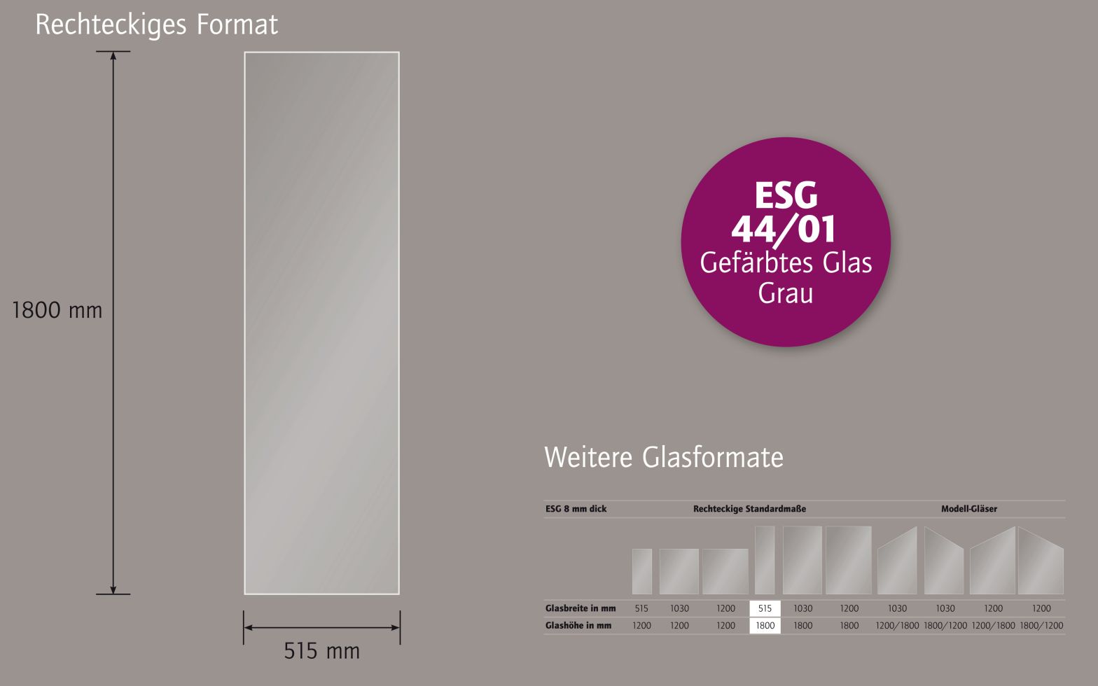 Ambiente Glaszaun B x H: 51,5 cm x 180 cm, gehärtetes 8 mm Glas Bild 2