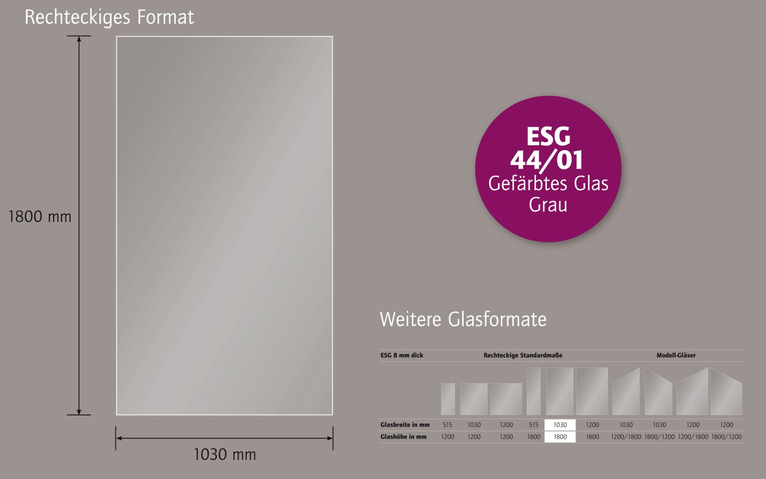 Ambiente Glaszaun B x H: 103 cm x 180 cm, gehärtetes 8 mm Glas Bild 3