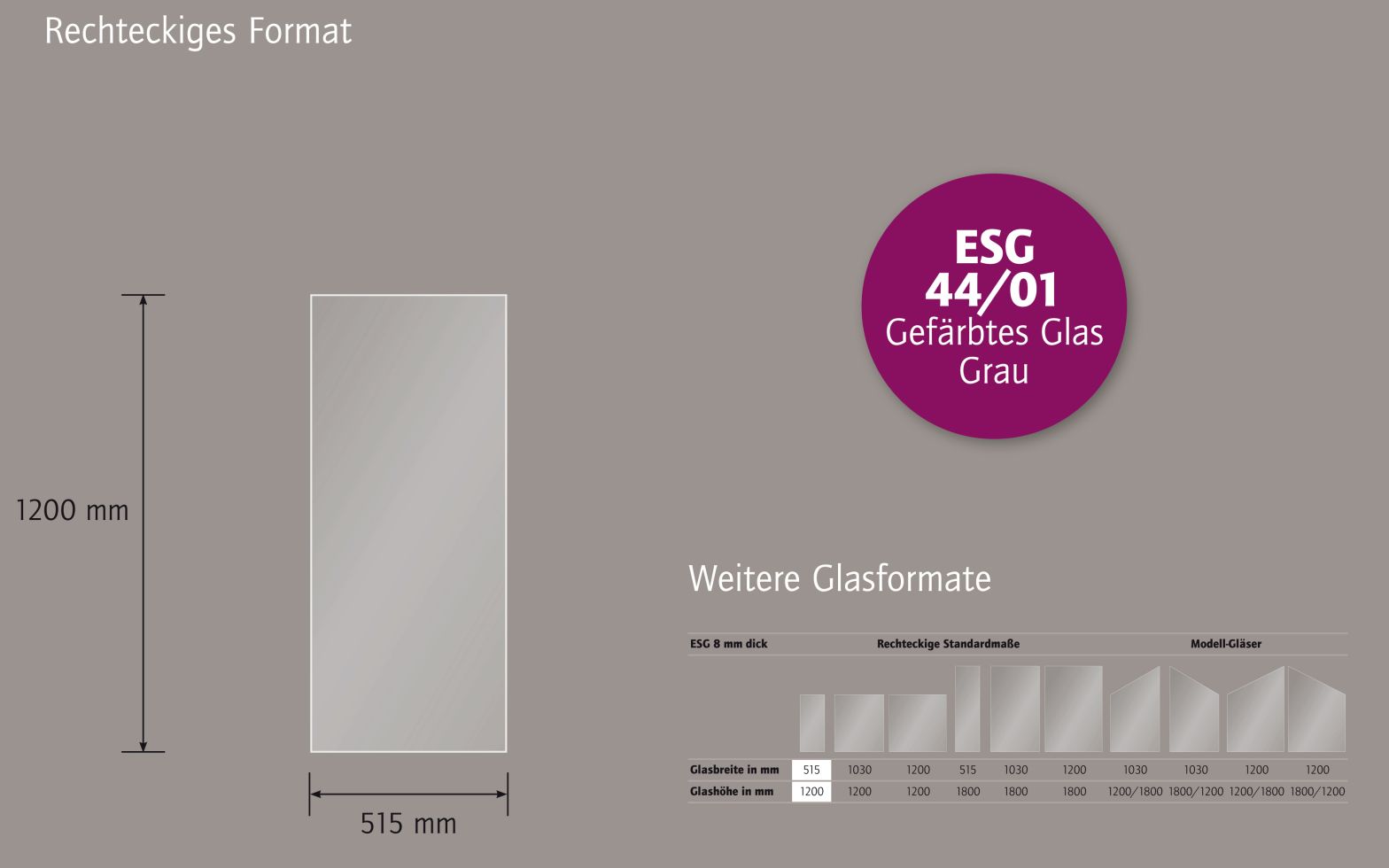 Ambiente Glaszaun B x H: 51,5 cm x 120 cm, gehärtetes 8 mm Glas Bild 4