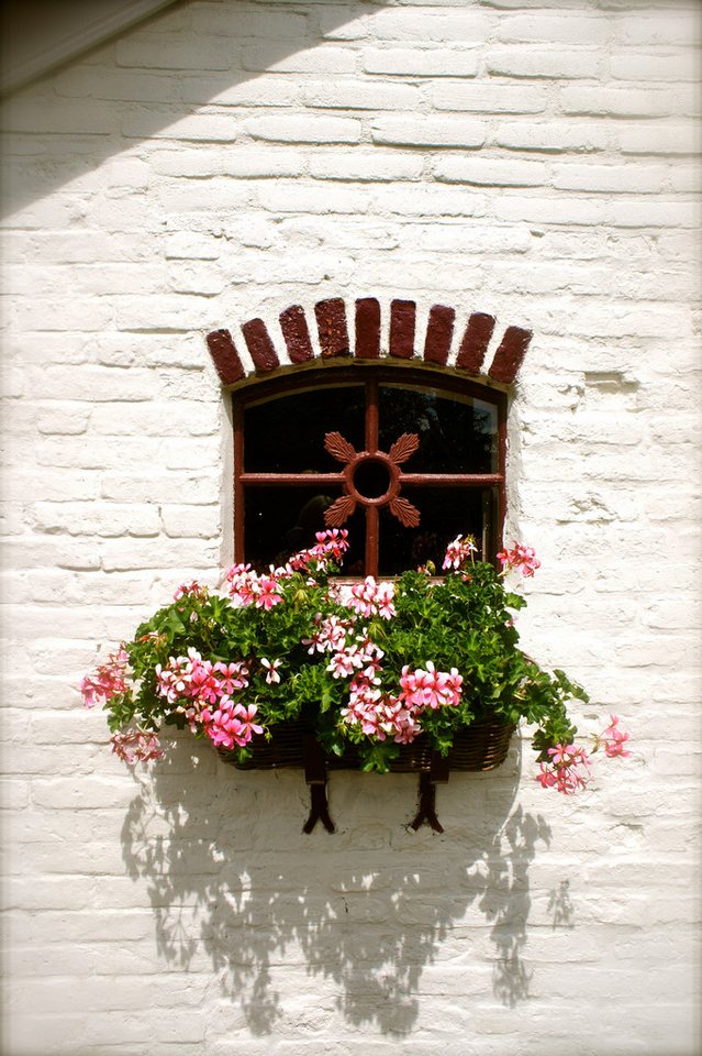 Antikas Fenster Eisenfenster, Sprossenfenster Eichenblatt, Stallfenster aus Gusseisen Bild 2