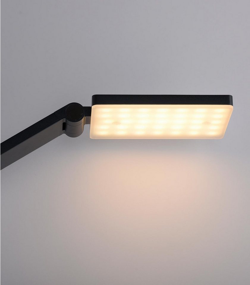 Paul Neuhaus LED Stehlampe SAMSKY, Grau, Aluminium, Touchsensor, Anpassung der Farbtemperatur, Dimmfunktion, LED fest integriert, Extra-Warmweiß, Neutralweiß, Memoryfunktion, Verstellbar, B 50,5 x H 161 x T 17,5 cm