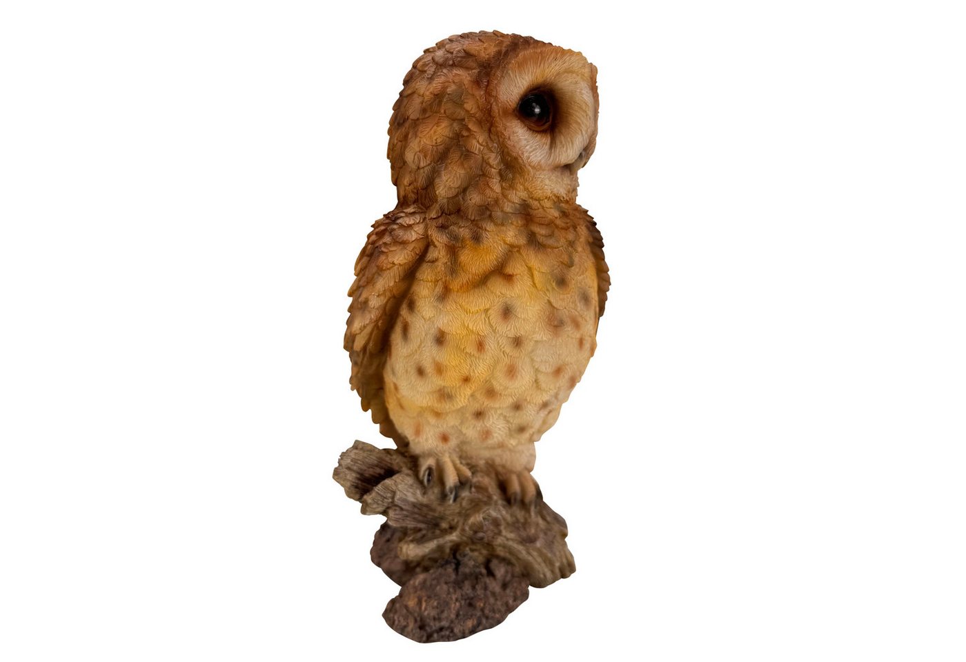 Online-Fuchs Gartenfigur für außen - Eule, Uhu, Kauz mit braunen Gefieder - Deko Figuren, (für den Innen- und Außenbereich, detailreiches Federkleid), aus langlebigem Kunstharz gefertigt - wetterfest - 31 cm groß Bild 3