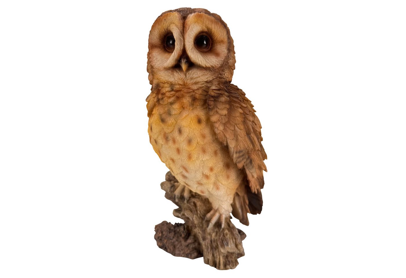 Online-Fuchs Gartenfigur für außen - Eule, Uhu, Kauz mit braunen Gefieder - Deko Figuren, (für den Innen- und Außenbereich, detailreiches Federkleid), aus langlebigem Kunstharz gefertigt - wetterfest - 31 cm groß Bild 4