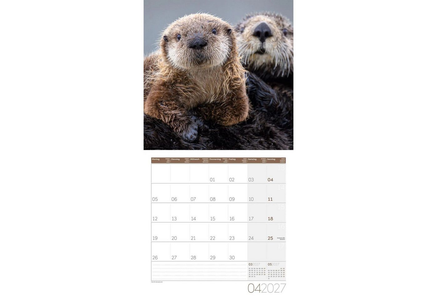 Ackermann Wandkalender Otter Kalender 2027 - 30x30 - Art12