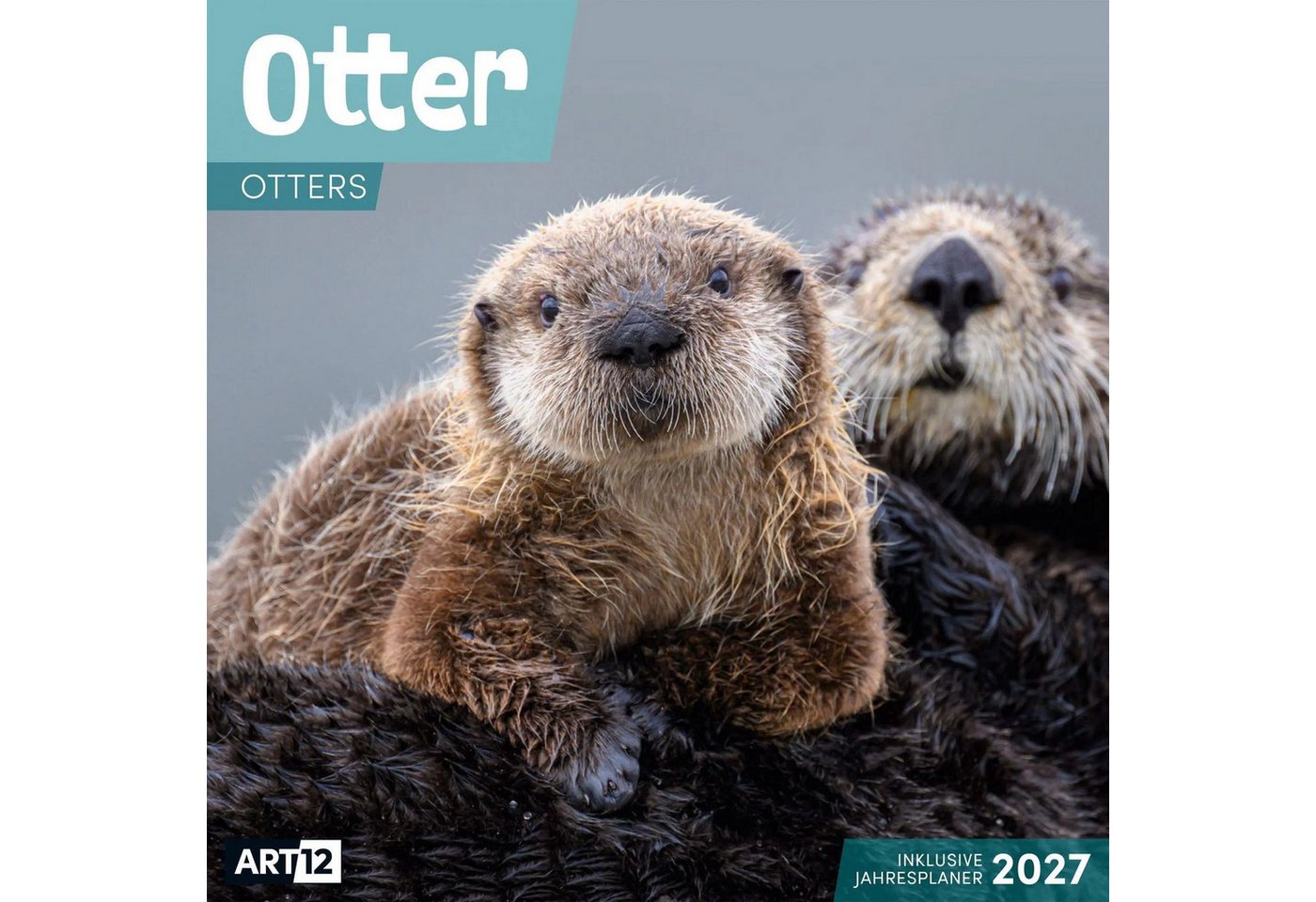 Ackermann Wandkalender Otter Kalender 2027 - 30x30 - Art12 Bild 3
