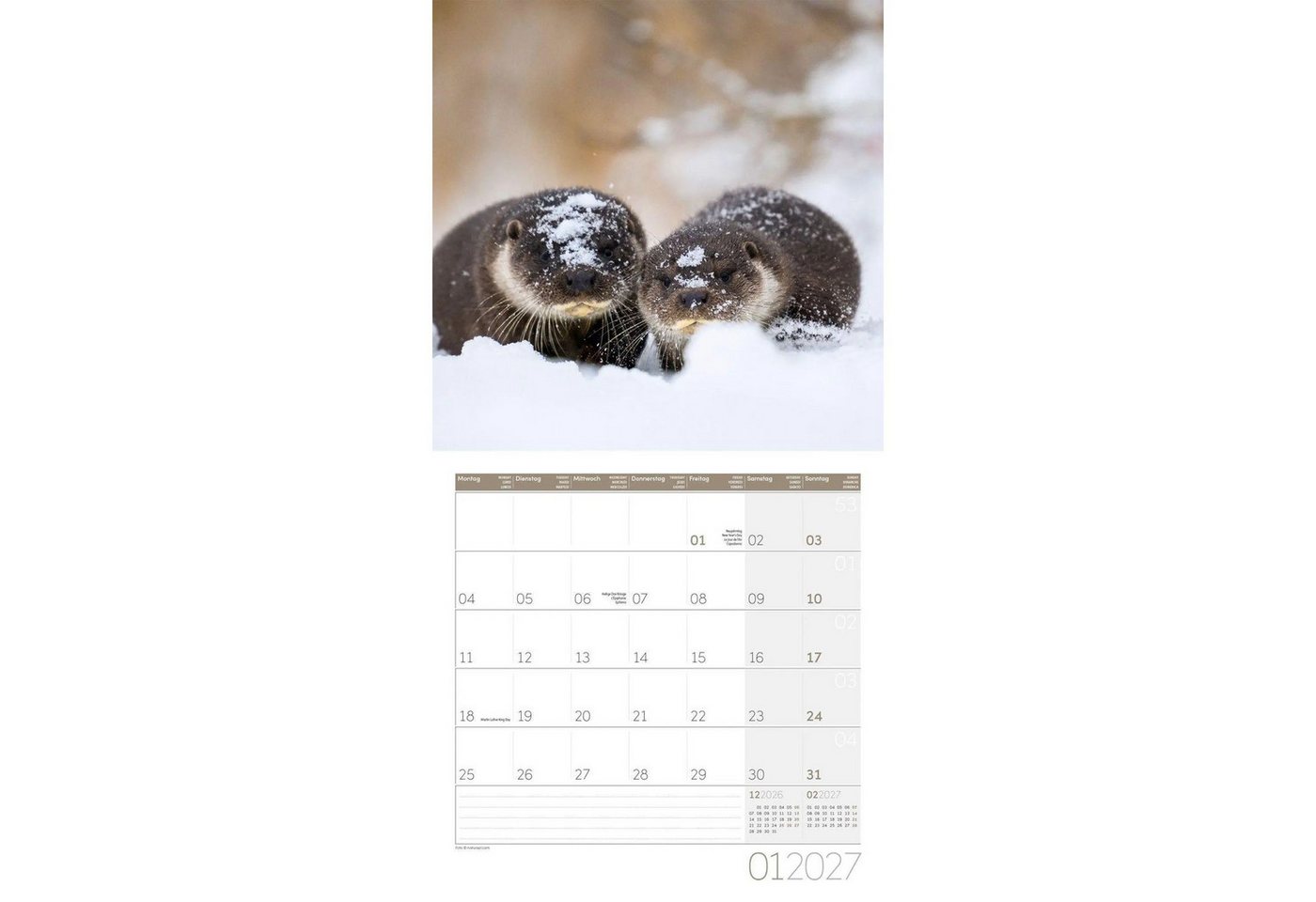 Ackermann Wandkalender Otter Kalender 2027 - 30x30 - Art12 Bild 4