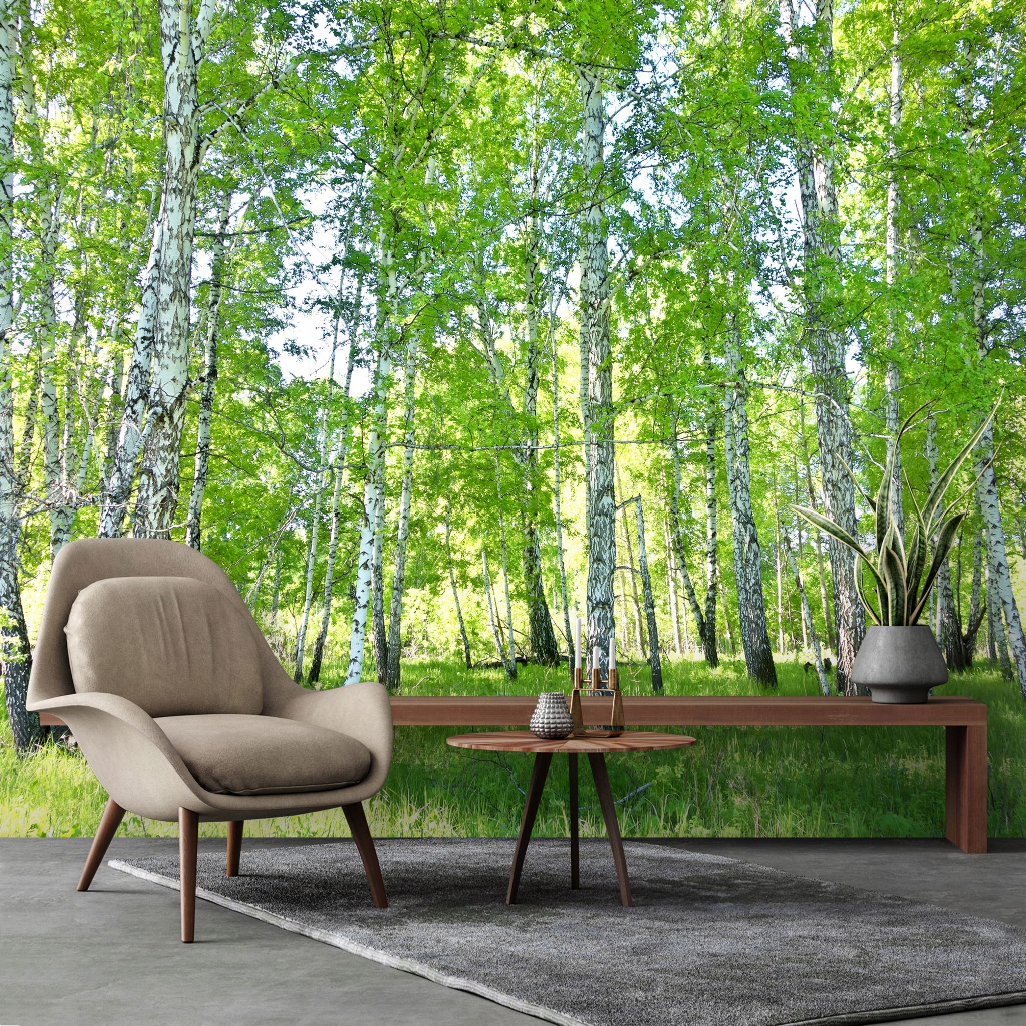 Fototapete Birkenwald Bäume, Für Wohnzimmer Und Schlafzimmer, 200 X 140 Cm – Komplettset Inkl. Kleister & Anleitung