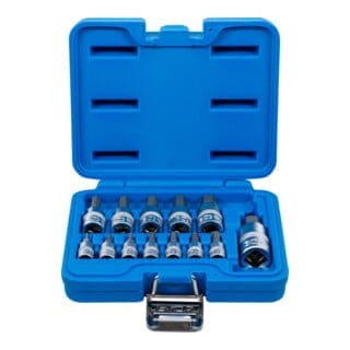 Bgs Technic - Bit-Einsatz-Satz Antrieb Innenvierkant 6,3 mm (1/4') / 10 mm (3/8') / 12,5 mm (1/2') Innensechskant 2 - 14 mm 13-tlg.