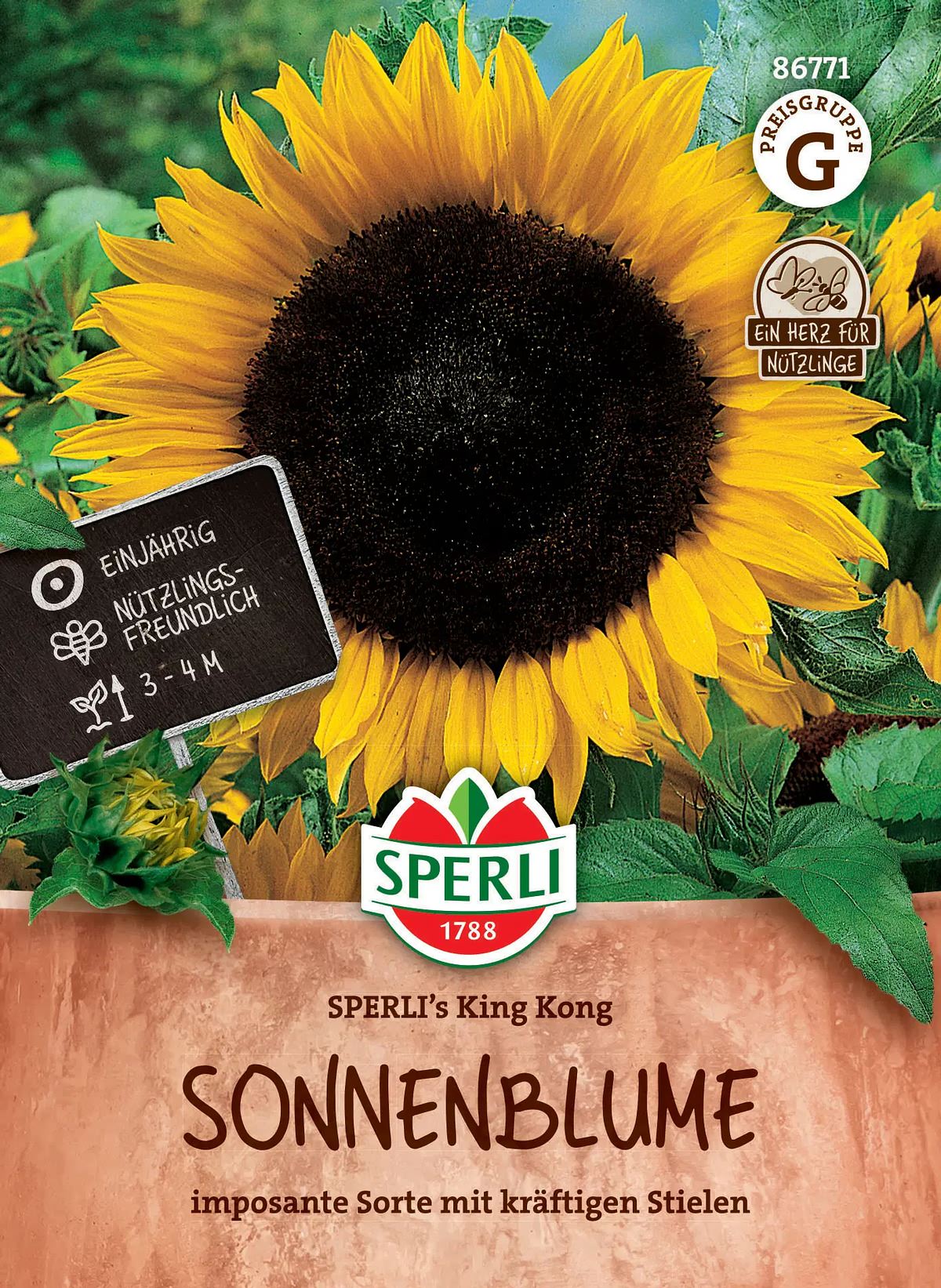 Sonnenblumen Sperli S King Kong - Blumensamen