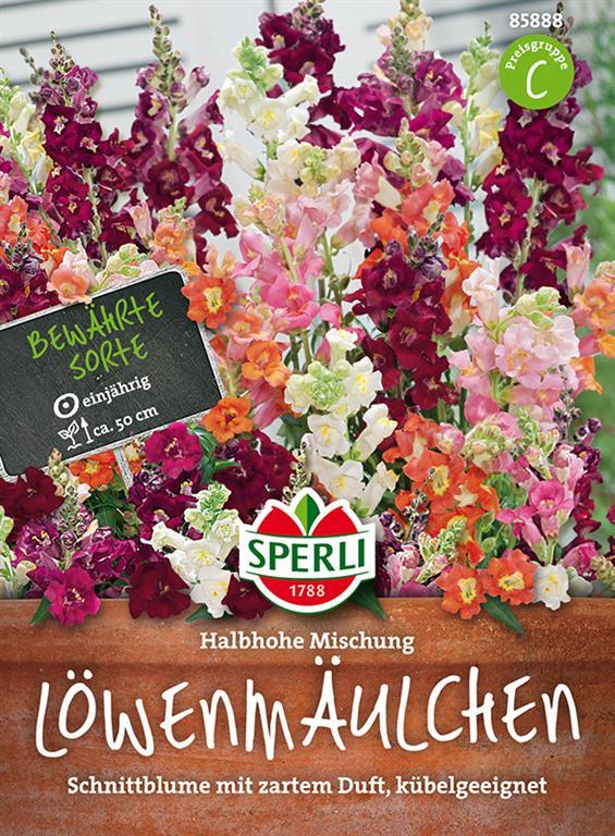 Löwenmäulchen Halbhohe Mischung - Blumensamen - Sperli