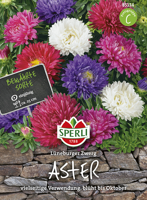 Blumensamenmischung, Aster 'lüneburger Zwergmischung'