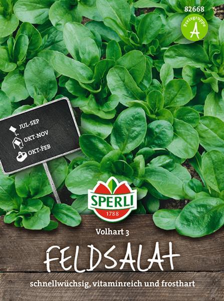 Gemüsesamen, Feldsalat 'dunkelgrüner Vollherziger 3'