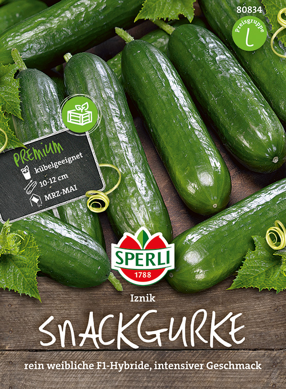 Salatgurke 'isnik'