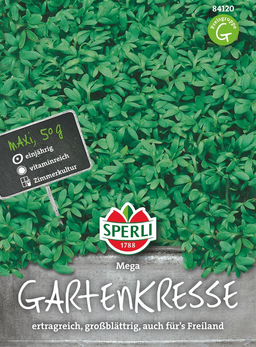 Sperli's Großblättrige Gartenkresse, Lepidium Sativum, 50 G