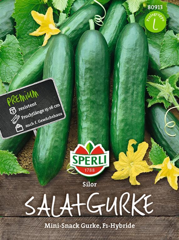 Gemüsesamen, Salatgurken 'silor' F1