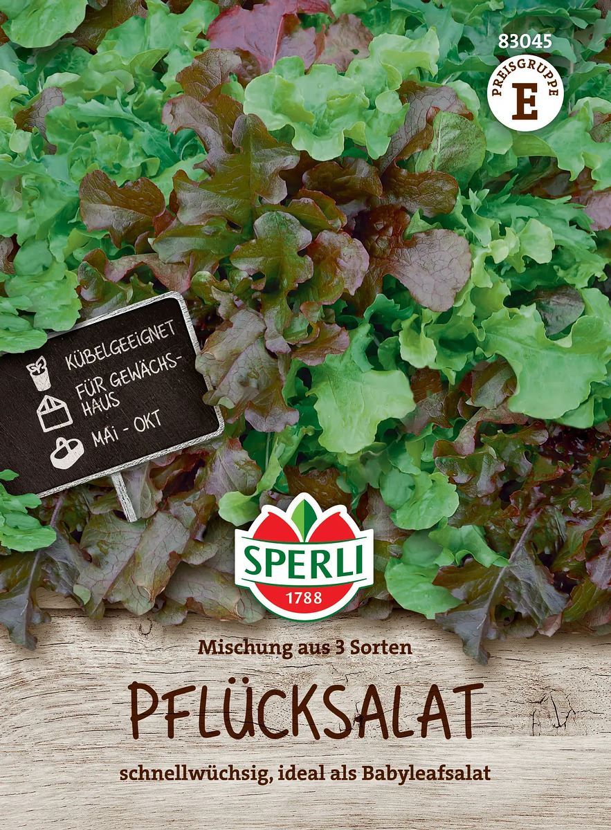 Mini-salatmischung 'veronas'