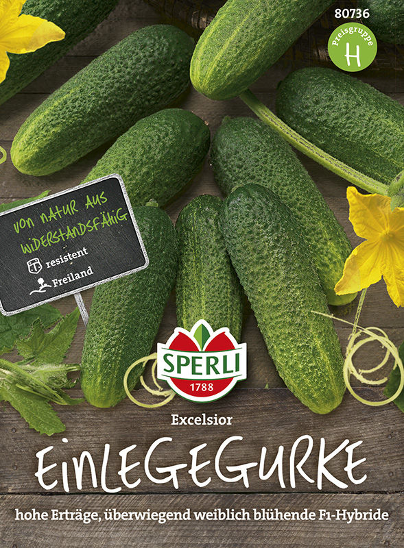 Gemüsesamen, Einlegegurken 'excelsior'