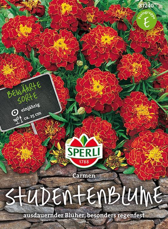 Sperli Studentenblumen Tagetes Carmen - Blumensamen