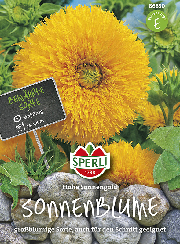 Sperli Sonnenblumen Hohe Sonnengold - Blumensamen