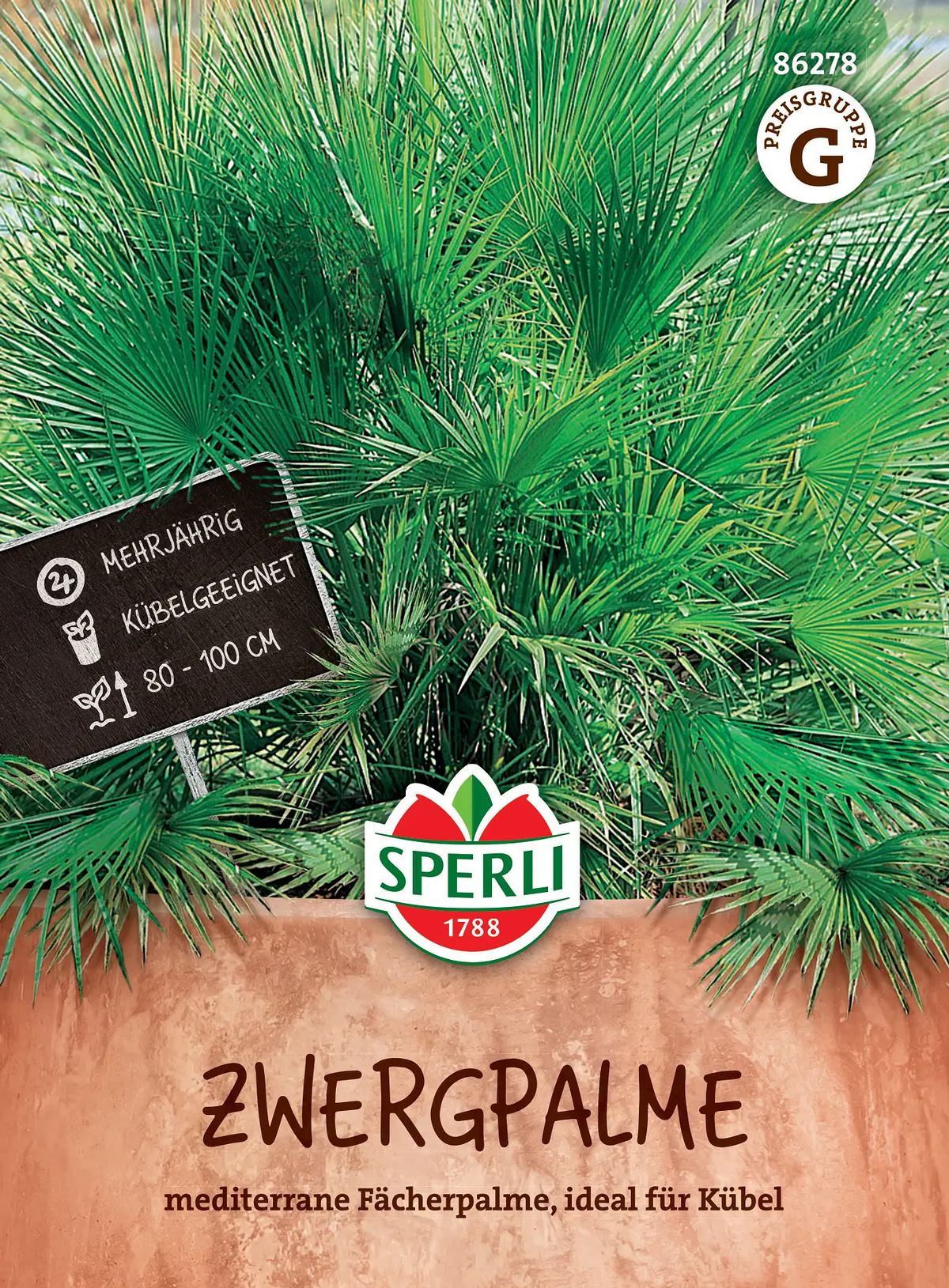 Sperli Palmen Zwergpalme Tropenzauber - Blumensamen