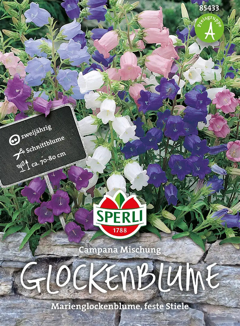 Sperli Glockenblumen Campanula Mischung - Blumensamen