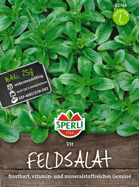 Sperli Feldsalat Vit Maxi - 25 G - Gemüsesamen