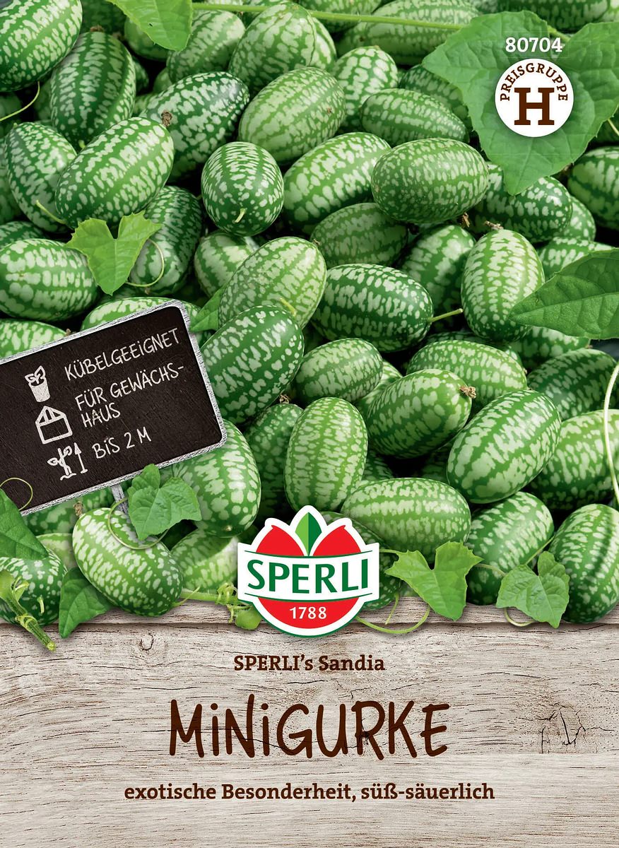 Minigurken Sperli´s Sandia - Gemüsesamen