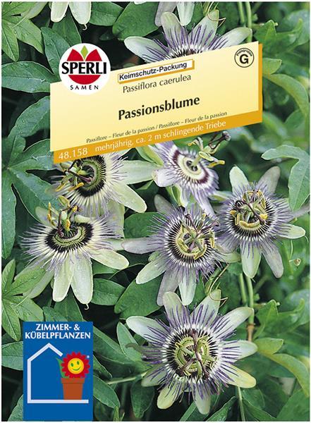 Sperli Passionsblumen - Blumensamen