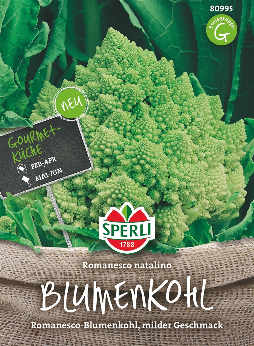 Sperli Blumenkohl Romanesco Natalino - Gemüsesamen