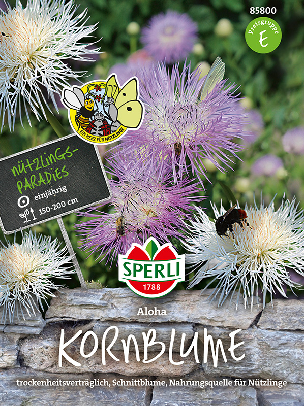Sperli Kornblumen Aloha - Blumensamen