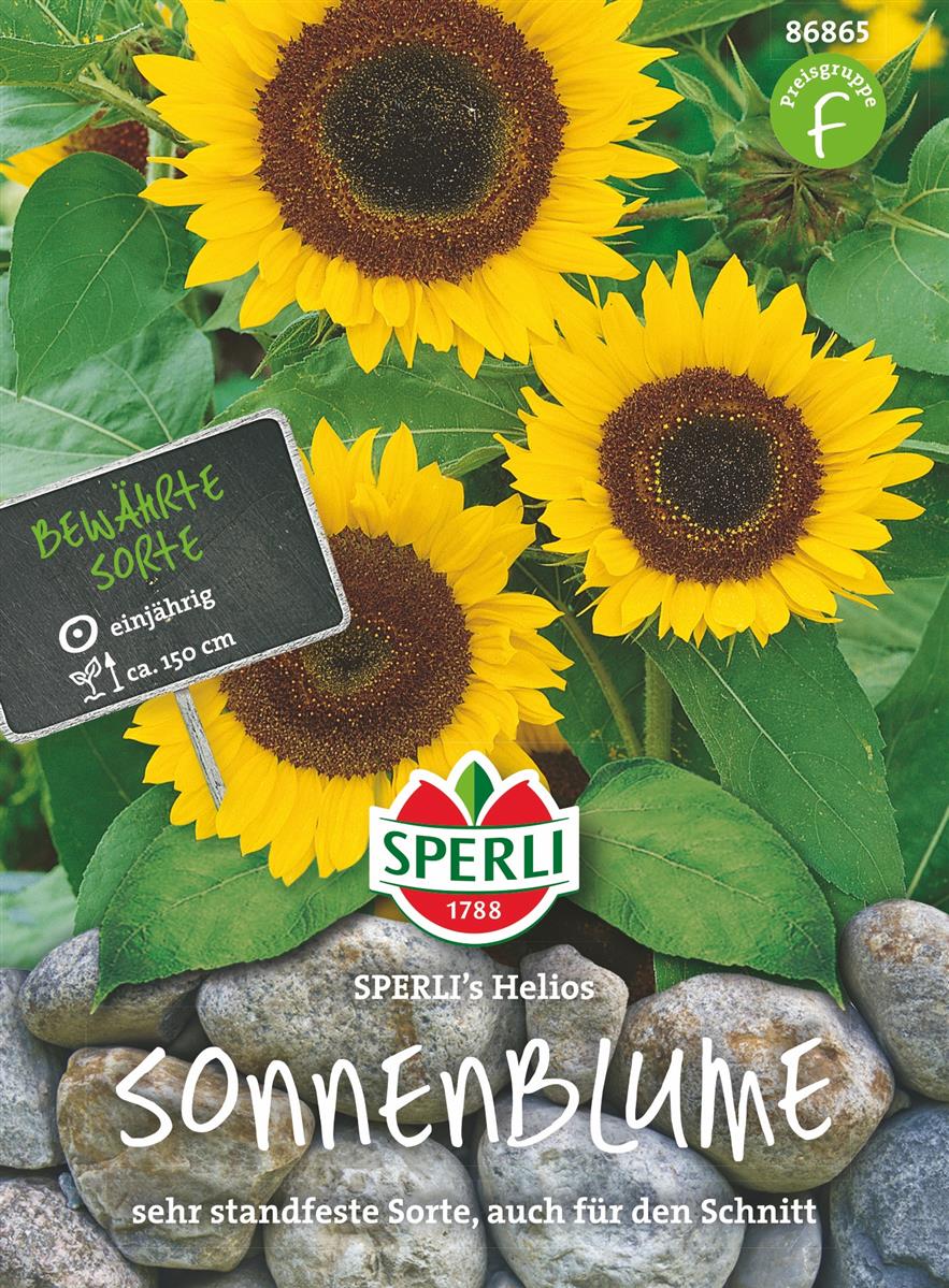 Sperli Sonnenblumen Helios - Blumensamen