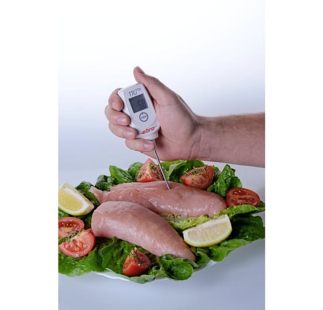 Ebro - ttx 110 Einstichthermometer (haccp) Messbereich Temperatur -50 bis 350 °c Fühler-Typ t HACCP-k