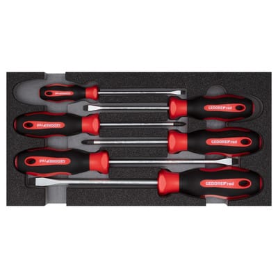 R22150014 Schraubendrehersatz pz+sl 2/6 CT-Modul 6-teilig