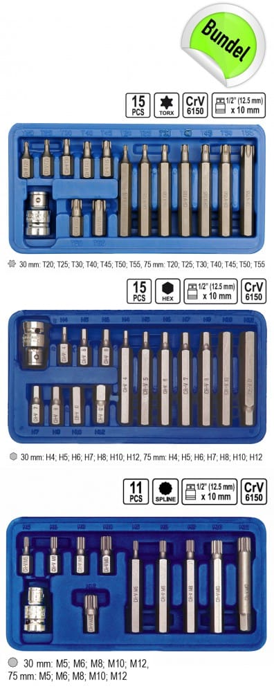 Bitsatz Hex Vielzahn Torx 41 Tlg.