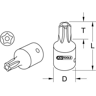 1/4" Bit-Stecknuss, Fünfstern mit Stirnlochbohrung, TS8