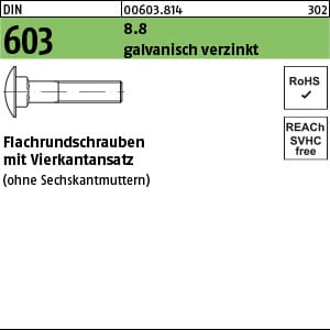 DIN 603 Flachrundschraube M10x90 Stahl 8.8 galvanisch verzinkt m. Vierkantansatz 100 Stk
