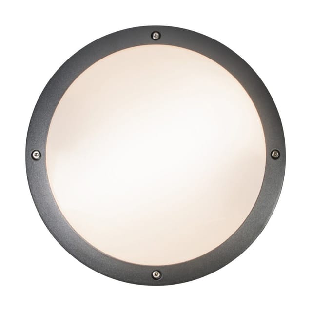 Wand- und Deckenleuchte Dunkelgrau 2-flammig IP54 - Glow