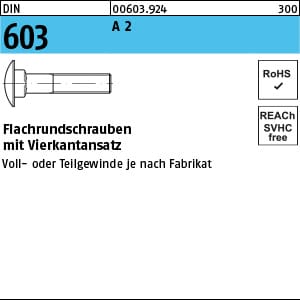 DIN 603 Flachrundschraube M6x90 Edelstahl A2 blank m. Vierkantansatz 100 Stk