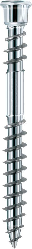 Schraube Terrassotec geh. DIN10088 5,5x 50mm T25